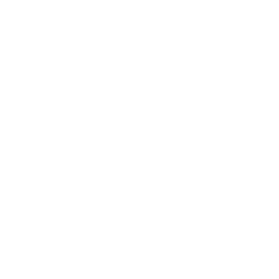 thunderbolt