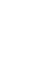 icon-setasAtivo 1