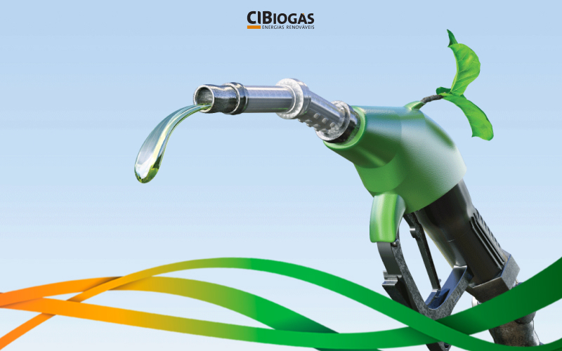 biogas and biomethane as a catalyst for ethanol from biomass