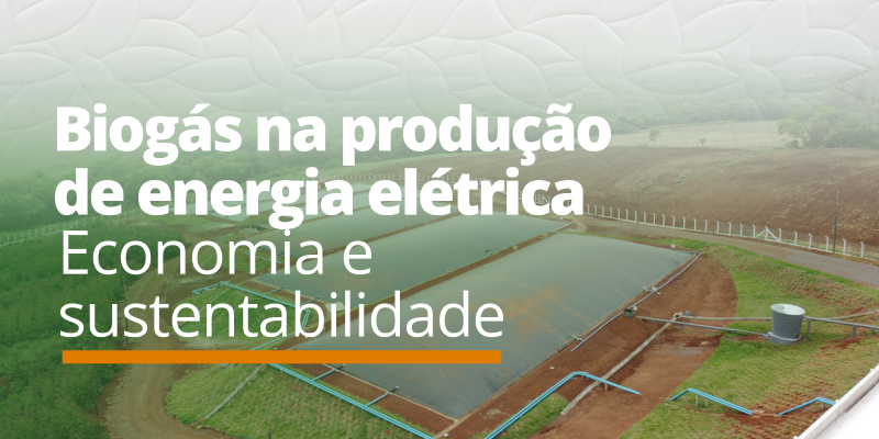 Biogás na produção de energia elétrica